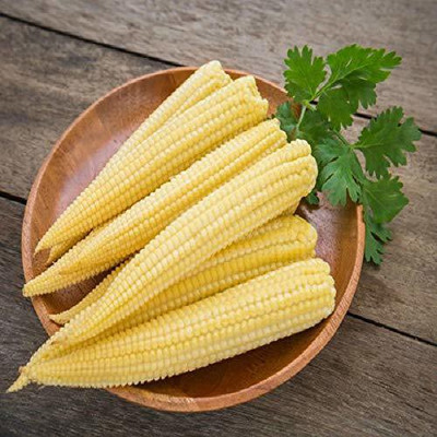 DROXTY ® VXL-856 Organic Desi Hybrid Baby Corn Seeds Seed(25 per packet)