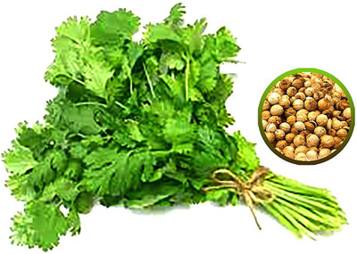DROXTY 86-XV-CORIANDER F1 HYBRID SEEDS Seed(125 per packet)