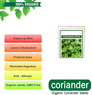VibeX ™ XLL-154 Hybrid Seeds Coriander Seeds Vegetable Seeds-100 x Seeds Seed(100 per packet)