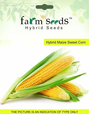 ActrovaX FARM Hybrid Maize Sweet Corn 1 Packet [4000 Seeds] Seed(4000 per packet)