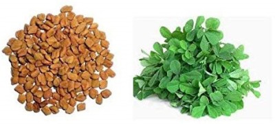 VibeX ™ VXI-300 Leafy Vegetables Seeds : Methi Seeds Seed(900 per packet)