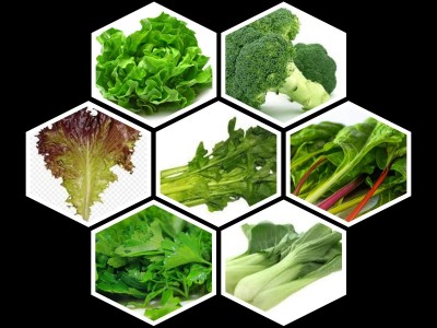 ALPINE HYBRID SEEDS EXOTIC VEGETABLES, BROCCOLI, LETUUCE GREEN, LETTUCE RED, PAK CHOI, SWISS CHARD, CELERY, PARSLEY Seed(7 per packet)