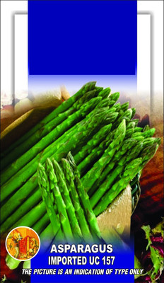 ActrovaX Asparagus Exotic Uc - 157 [100 Seeds] Seed(100 per packet)