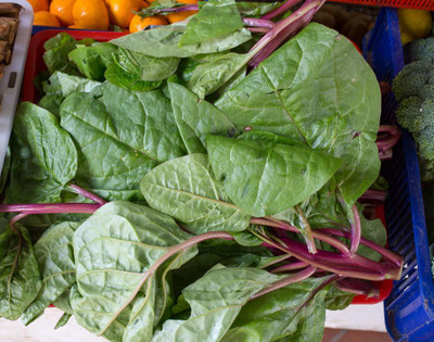 VibeX Spinach Seed(250 per packet)