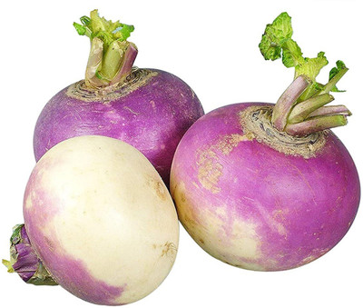 VibeX ® XLS-64 Agro Pack Of Turnip F1 Purple Top Seeds Seed(100 per packet)