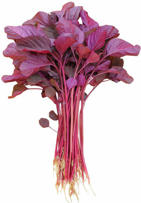 VibeX Spinach Seed(500 per packet)
