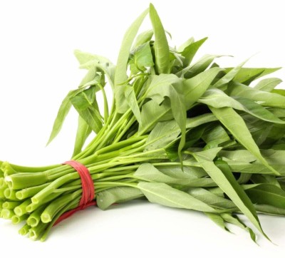 ActrovaX Thai Kangkong - Water Spinach - [2gm Seeds] Seed(2 g)