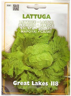 Qualtivate Lettuce Seeds Seed(30 per packet)