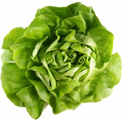 VibeX ™ VXI-412 Limestone Bibb Lettuce Seeds Seed(10 per packet)