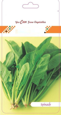 VibeX Spinach Seed(20 per packet)