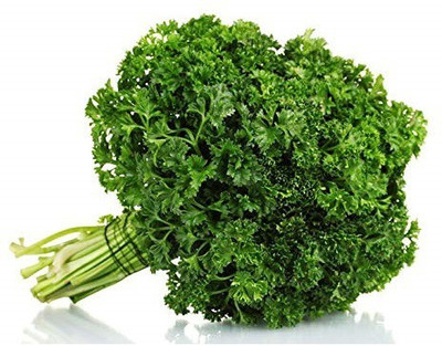 VibeX Seeds Microgreens Parsley Triple Curled Leaf Seed(20 per packet)