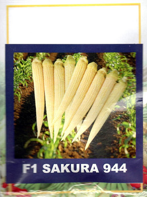 VibeX Hybrid F1 Sakura Baby Corn Seeds Seed(70 per packet)
