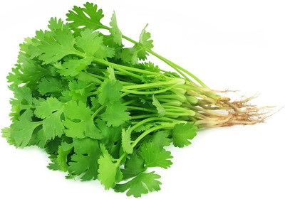 DROXTY Coriander Seed(200 per packet)