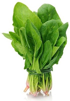 Biosnyg Baby Spinach Exotic Veg Seeds Pack 50gm Seeds Seed(50 g)