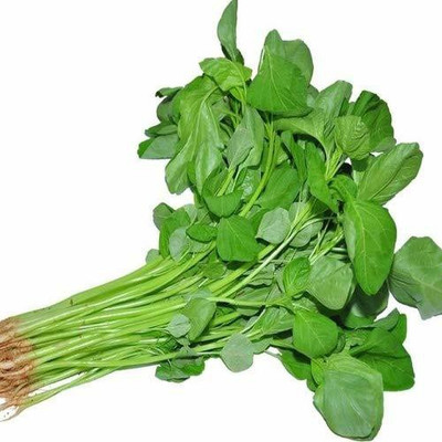 VibeX Spinach Seed(60 per packet)