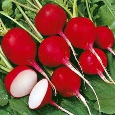 Biosnyg Vegetable Seeds Red Turnip (Shalgam) Seeds - Turnlip Seeds 250 Seeds Seed(250 per packet)