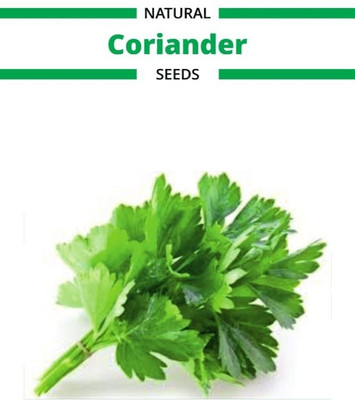 CRGO CORIANDER , HARA DHANIYA Seed(900 per packet)