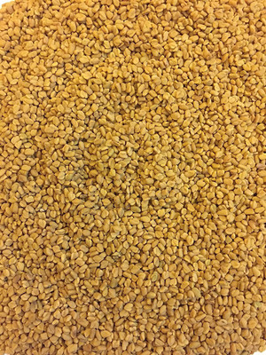 VibeX ™ VXI-372 Fast Grow Fenugreek/Methi Seeds Seed(40 per packet)