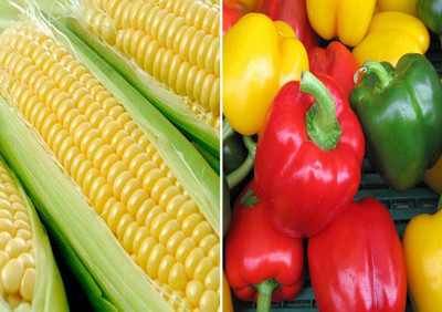 VibeX ® VXL-794 F1 Hybrid Sweet Corn and Capsicum Mixed Seeds Seed(15 per packet)