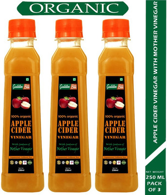 GustativeBite Organic Apple Cider Vinegar with Mother of Vinegar for Weight Loss Vinegar 250ml Pack of 3 Vinegar(3 x 250 ml)