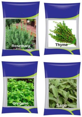 VibeX ™ XLL-1017- Rosemary, Thyme, Oregano, Sage Seed(80 per packet)