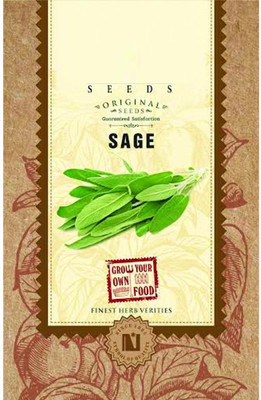 CRGO BASIL , TULSI Seed(5 per packet)
