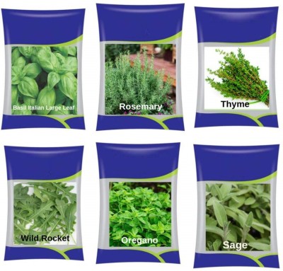 VibeX ™ XLL-899- Rosemary, Thyme, Oregano, Italian Basil, Basil Purple, Sage Seed(50 per packet)
