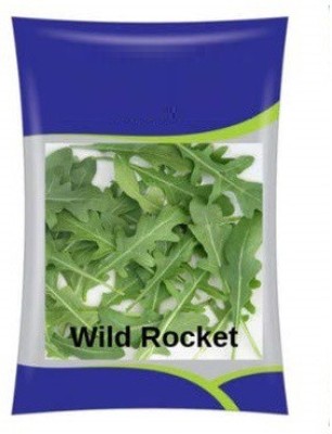 VibeX Wild Rocket Herb High Yield Seeds Seed(50 per packet)