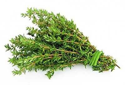 VibeX XLL-241- Thyme Herb Seeds Pack Seed(5 per packet)