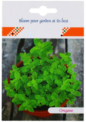Biosnyg Oregano Herb Seed Packet 500 Seeds Seed(500 per packet)
