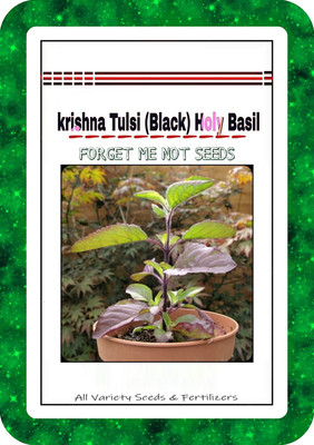 VibeX VXI-384-Tulasi seeds krishna tulsi seeds (Black) Holy Basil Seed(20 per packet)
