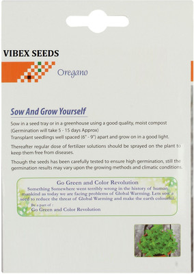 VibeX ™ XLL-421- Oregano Herb Seeds Seed(20 per packet)