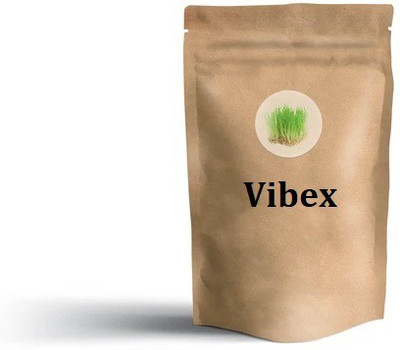 WILLVINE ™Natural Black Wheat Seeds for Farming and Sowing Seed(5000 per packet)