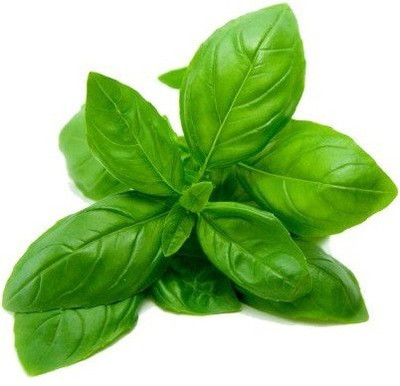 VibeX Basil Seed(15 per packet)