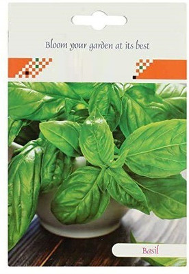 CRGO BASIL , TULSI Seed(50 per packet)