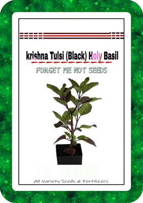 CRGO BASIL , TULSI Seed(10 per packet)