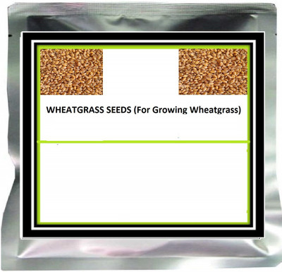 VibeX Wheatgrass Seed(250 per packet)
