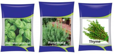 VibeX ™ XLL-1027- Basil, Rosemary, Thyme Herb Combo Seed(150 per packet)