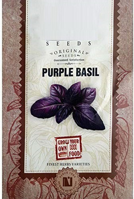 VibeX Basil Seed(40 per packet)