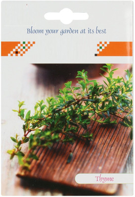 VibeX Thyme Herb Seeds Seed(40 per packet)