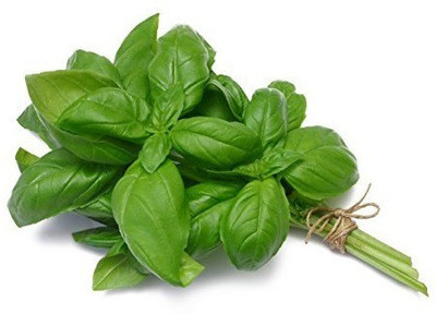 CRGO BASIL , TULSI Seed(50 per packet)