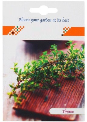 VibeX High Germination Thyme Herbs Seeds Seed(70 per packet)