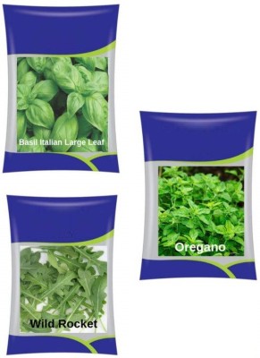 VibeX ™ XLL-955- Oregano, Italian Basil, Wild Rocket Seed(25 per packet)