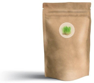 VibeX ™ VXI-327-Potted Grass (Wheat Cat Grass) Seeds Seed(600 per packet)