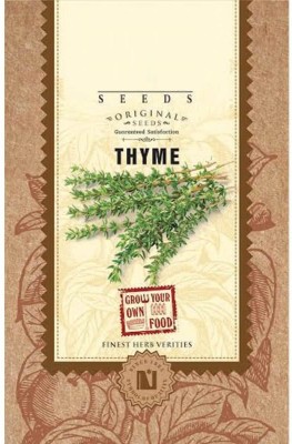 VibeX Thyme Herb Seeds Seed(70 per packet)