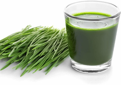 VibeX WHEAT Grass Seed(10000 per packet)