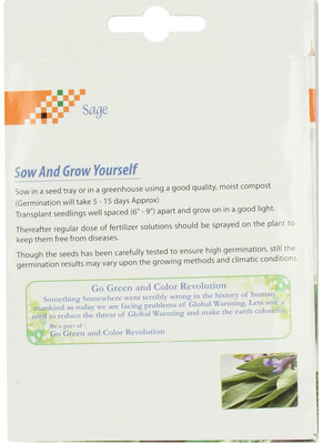 ActrovaX High Germination Sage Herb [5gm Seeds] Seed(5 g)