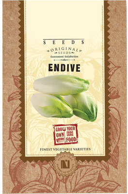 Biosnyg Endive Seeds 5000 Seeds Seed(5000 per packet)
