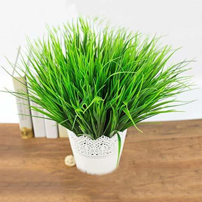 VibeX ® VXI-616-Wheatgrass Microgreen Seeds - Wheatgrass Seed(200 per packet)