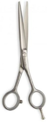 Ikonic Professional SCISSOR - A60 Scissors(Set of 1, Silver)